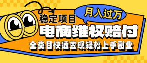 电商维权赔付全类目稳定月入过万可批量操作一部手机轻松小白-圆梦资源站