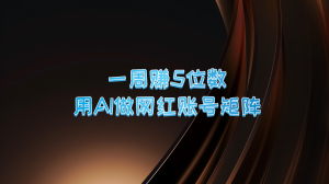 一周赚5位数,用AI做网红账号矩阵,现在的AI功能实在太强大了-圆梦资源站