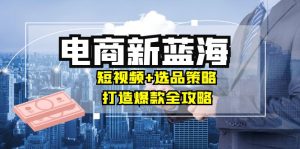 商家必看电商新蓝海：短视频+选品策略，打造爆款全攻略，月入10w+-圆梦资源站
