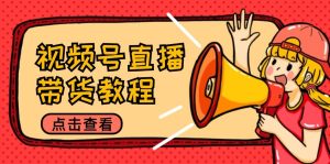 视频号直播带货教程：选品思路与话术拆解/掌握多种带货套路/提升直播效果-圆梦资源站