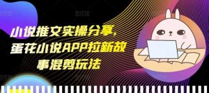 小说推文实操分享，蛋花小说APP拉新故事混剪玩法-圆梦资源站