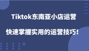 Tiktok东南亚小店运营，快速掌握实用的运营技巧！-圆梦资源站