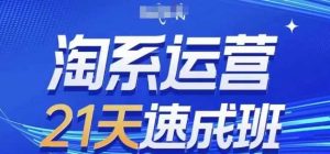 淘系运营21天速成班(更新24年12月),0基础轻松搞定淘系运营,不做假把式-圆梦资源站