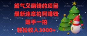 （13686期）解气又赚钱的项目，最新违章拍照赚钱，随手一拍，轻松收入3000+-圆梦资源站