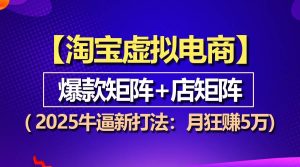 (13687期)【淘宝虚拟项目】2025牛逼新打法:爆款矩阵+店矩阵,月狂赚5万-圆梦资源站