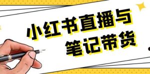 小红书直播与笔记带货:选品、上架、笔记写作、视频剪辑及直播话术等-圆梦资源站