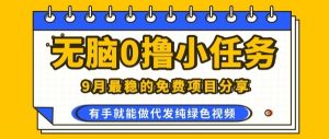 0学费0风险,2025风口项目,无脑免费撸,代发纯绿色视频,一部手机人人可做【揭秘】-圆梦资源站