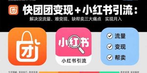 快团团变现+小红书引流：解决没流量、难变现、缺帮卖三大痛点 实现月入3w+-圆梦资源站