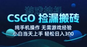 8月最新游戏搬砖,CSGO纯挂G,不需要玩游戏,实现真挂G,月入1W+【揭秘】-圆梦资源站