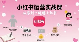 小红书运营实战课，从零到一玩賺小红书-圆梦资源站