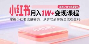 小红书月入1W+变现课程：掌握小红书流量密码，从养号到带货全流程盈利-圆梦资源站