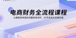 电商财务全流程课程：从建账到申报的完整财务闭环，26节系统化实操内容-圆梦资源站