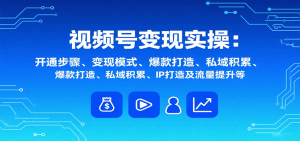 视频号变现实操,含开通步骤、变现模式、爆款打造、私域积累、IP打造及流量提升等-圆梦资源站