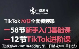 TikTok全套视频课,新手入门+进阶课,短视频ADS-GMV MAX投流打品,日销破1000单打法-圆梦资源站