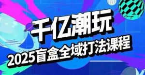 2025盲盒全域全套打法课,盲盒起号、选品、话术、私域等-圆梦资源站