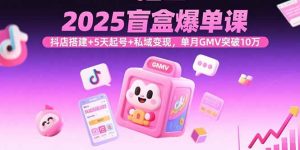 2025盲盒爆单课,抖店搭建+5天起号+私域变现,单月GMV突破10万-圆梦资源站