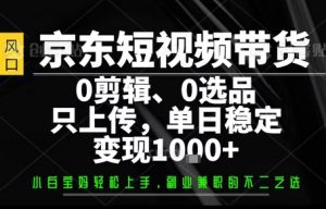 你出账号,我来运营,保底日入1k+,开启躺賺模式【揭秘】-圆梦资源站