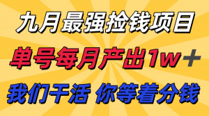 九月最强捡钱项目! 支付宝分成代运营,我们干活,你分钱!单号月产1w+-圆梦资源站
