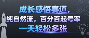 成长感悟赛道,纯自然流,百分百起号率 一天轻松多张-圆梦资源站
