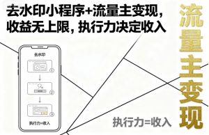 去水印小程序+流量主变现,收益无上限,执行力决定收入-圆梦资源站