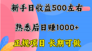 一台电脑,前期日收益300-500,熟练后日入1000左右-圆梦资源站