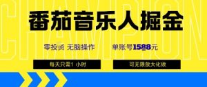 番茄音乐人掘金,单账号最高可撸1k+,可无限矩阵去做,零投入-圆梦资源站