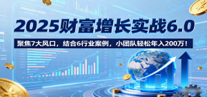 2025财富增长实战6.0,聚焦7大风口,结合6行业案例,小团队轻松年入200万!-圆梦资源站