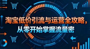 淘宝低价引流与运营全攻略,从零开始掌握流量密码-圆梦资源站