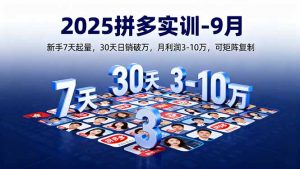2025拼多多实训-9月:新手7天起量,30天日销破万,月利润3-10万,可矩阵复制-圆梦资源站
