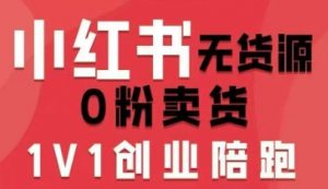 小红书无货源0粉电商课,开店准备、选品策略、笔记撰写、视频剪辑、数据分析、账号打造、资料文档-圆梦资源站