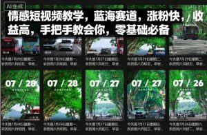 情感短视频教学,蓝海赛道,涨粉快,收益高,手把手教会你,零基础必备-圆梦资源站