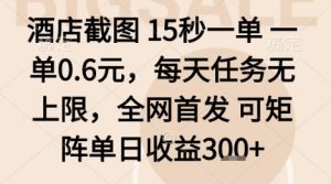 酒店截图项目,15秒一单,一单0.6米,每天任务无上限,全网首发可矩阵单日收益3张+【揭秘】-圆梦资源站