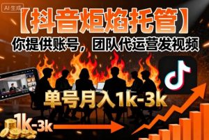 【抖音炬焰托管】你提供账号,团队代运营发视频,单号月入1k+【揭秘】-圆梦资源站