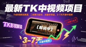 最新TK中视频项目,Tk影视解说赛道,搬运二创暴力起号,流量非常猛,3-7天开通中视频(更新)-圆梦资源站