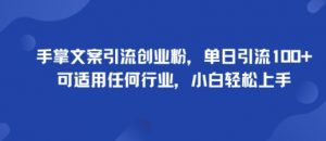 手掌文案引流创业粉,单日引流100+,可适用任何行业,小白轻松上手-圆梦资源站
