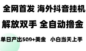 海外抖音无人直播,单日产出1.5k+,长期稳定,新手可玩,无脑操作【揭秘】-圆梦资源站