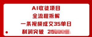 AI收徒项目全流程拆解一条视频成交35单日利润突破1k+-圆梦资源站