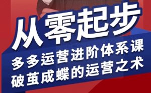 拼多多运营进阶系统课,从零起步,多多运营进阶体系课,破茧成蝶的运营之术(更新9月)-圆梦资源站