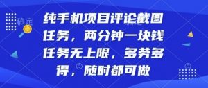 纯手机项目评论截图任务,两分钟一块钱多劳多得,随时随地都能做【揭秘】-圆梦资源站
