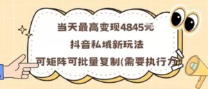 当天最高变现1k+,抖音私域新玩法,可矩阵可批量复制-圆梦资源站