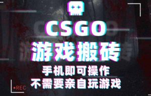 CSGO游戏挂机捡漏,单日扫货500+,年底小高峰上车可吃肉,手机即可操作…-圆梦资源站