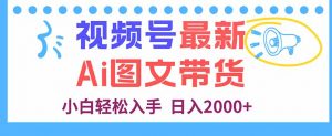视频号最新AI图文带货,每天几分钟,小白轻松入手,日入2000+-圆梦资源站