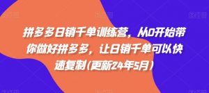 拼多多日销千单训练营,从0开始带你做好拼多多,让日销千单可以快速复制(更新25年9月)-圆梦资源站
