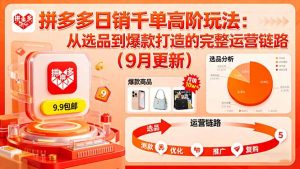 拼多多日销千单高阶玩法:从选品到爆款打造的完整运营链路(9月更新-圆梦资源站