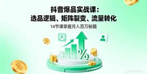 抖音爆品实战课:选品逻辑、矩阵裂变、流量转化,14节课掌握月入百万秘籍-圆梦资源站