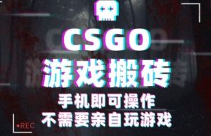 CSGO游戏挂G捡漏,单日扫货5张+,年底小高峰上车可吃肉,手机即可操作,兼职副业创业网创【揭秘】-圆梦资源站
