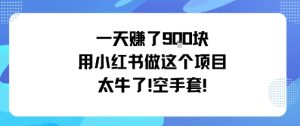 一天挣了9张用小红书做这个项目太牛了,空手套-圆梦资源站