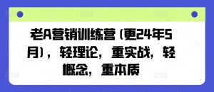 老A营销训练营(更25年10月),轻理论,重实战,轻概念,重本质-圆梦资源站