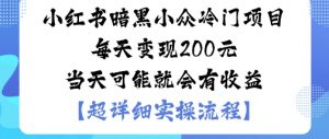 小红书暗黑小众冷门项目每天变现2张当天可能就会有收益-圆梦资源站