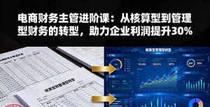 电商财务主管进阶课:从核算型到管理型财务的转型,助力企业利润提升30%-圆梦资源站